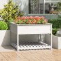 Jardinera de estante madera maciza pino blanca 111,5x111,5x81cm en Macetas y jardineras | Comprar online en Foru.es