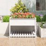 Jardinera de estante madera maciza pino blanca 111,5x111,5x81cm en Macetas y jardineras | Comprar online en Foru.es