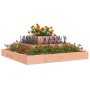 Jardinera de madera maciza de abeto douglas 80x80x27 cm en Macetas y jardineras | Comprar online en Foru.es
