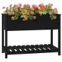 Jardinera con estante madera maciza pino negra 111,5x54x81 cm de vidaXL, Maceteros y jardineras - Ref: Foro24-823791, Precio:...