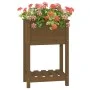 Jardinera de madera maciza de pino marrón 54x34,5x81 cm de vidaXL, Maceteros y jardineras - Ref: Foro24-823755, Precio: 55,87...