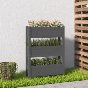Jardinera de madera maciza de pino gris 77x25x104,5 cm en Macetas y jardineras | Comprar online en Foru.es