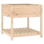 Jardinera con estante madera maciza de pino 82,5x82,5x81 cm de vidaXL, Maceteros y jardineras - Ref: Foro24-823794, Precio: 8...