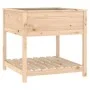 Jardinera con estante madera maciza de pino 82,5x82,5x81 cm de vidaXL, Maceteros y jardineras - Ref: Foro24-823794, Precio: 8...