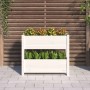 Jardinera de madera maciza de pino blanco 77x25x66 cm en Macetas y jardineras | Comprar online en Foru.es