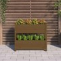 Jardinera de madera maciza de pino marrón miel 77x25x66 cm en Macetas y jardineras | Comprar online en Foru.es