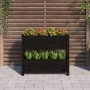 Jardinera de madera maciza de pino negro 77x25x66 cm en Macetas y jardineras | Comprar online en Foru.es