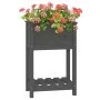 Jardinera de madera maciza de pino gris 54x34,5x81 cm de vidaXL, Maceteros y jardineras - Ref: Foro24-823754, Precio: 53,31 €...