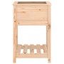 Jardinera con estante de madera maciza de pino 54x54x81 cm de vidaXL, Maceteros y jardineras - Ref: Foro24-823773, Precio: 55...