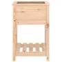 Jardinera con estante de madera maciza de pino 54x54x81 cm de vidaXL, Maceteros y jardineras - Ref: Foro24-823773, Precio: 55...