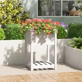 Jardinera con estante madera maciza de pino blanco 54x54x81 cm de vidaXL, Maceteros y jardineras - Ref: Foro24-823774, Precio...