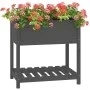 Jardinera con estante madera maciza de pino gris 82,5x54x81 cm de vidaXL, Maceteros y jardineras - Ref: Foro24-823782, Precio...