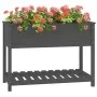 Jardinera con estante madera maciza de pino gris 111,5x54x81 cm de vidaXL, Maceteros y jardineras - Ref: Foro24-823789, Preci...