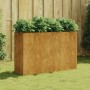 Jardinera acero corten 120x40x80 cm en Macetas y jardineras | Comprar online en Foru.es
