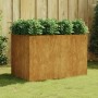 Jardinera acero corten 120x80x80 cm en Macetas y jardineras | Comprar online en Foru.es