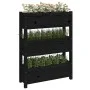 Jardinera de madera maciza de pino negro 77x25x104,5 cm de vidaXL, Maceteros y jardineras - Ref: Foro24-823938, Precio: 96,69...