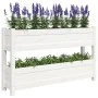 Jardinera de madera maciza de pino blanco 112x25x66 cm de vidaXL, Maceteros y jardineras - Ref: Foro24-823928, Precio: 86,15 ...