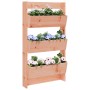 Jardinera pared 3 niveles madera maciza Douglas 60x18,5x110 cm en Macetas y jardineras | Comprar online en Foru.es