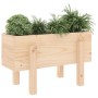 Jardinera madera maciza de pino 62x30x38 cm en Macetas y jardineras | Comprar online en Foru.es