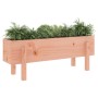 Arriate elevado jardín madera maciza abeto Douglas 101x30x38 cm en Macetas y jardineras | Comprar online en Foru.es