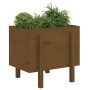 Jardinera de madera maciza de pino marrón miel 62x50x57 cm en Macetas y jardineras | Comprar online en Foru.es