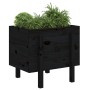 Jardinera de madera maciza de pino negro 62x50x57 cm en Macetas y jardineras | Comprar online en Foru.es