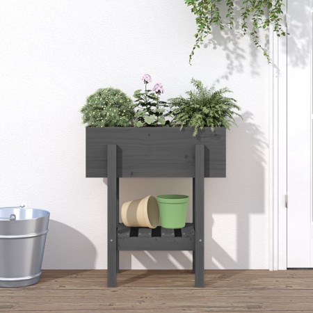 Jardinera madera maciza de pino gris 62x30x69 cm en Macetas y jardineras | Comprar online en Foru.es