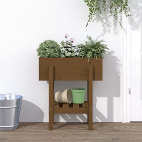 Jardinera madera maciza de pino marrón miel 62x30x69 cm en Macetas y jardineras | Comprar online en Foru.es