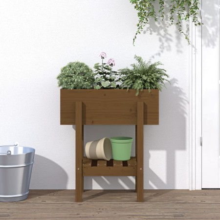 Jardinera madera maciza de pino marrón miel 62x30x69 cm en Macetas y jardineras | Comprar online en Foru.es