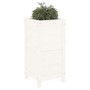 Jardinera madera maciza de pino blanco 40x40x78 cm en Macetas y jardineras | Comprar online en Foru.es