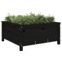 Jardinera madera maciza de pino negro 82,5x82,5x39 cm en Macetas y jardineras | Comprar online en Foru.es