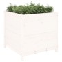 Jardinera madera maciza de pino blanco 82,5x82,5x78 cm en Macetas y jardineras | Comprar online en Foru.es