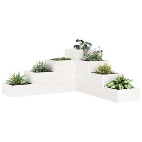 Jardinera 4 niveles madera maciza de pino blanca 80,5x79x36 cm en Macetas y jardineras | Comprar online en Foru.es