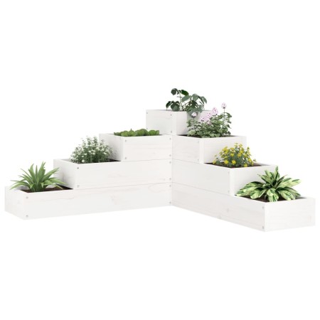 Jardinera 4 niveles madera maciza de pino blanca 80,5x79x36 cm en Macetas y jardineras | Comprar online en Foru.es