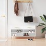 Banco zapatero madera de ingeniería blanco brillo 102x35x55 cm en Zapateros y organizadores de calzado | Comprar online en Foru.