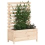 Jardinera con estantería madera maciza pino 79x39,5x114 cm en Macetas y jardineras | Comprar online en Foru.es