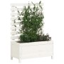 Jardinera estantería madera maciza pino blanco 79x39,5x114 cm en Macetas y jardineras | Comprar online en Foru.es