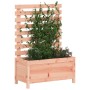 Jardinera con estantería madera maciza Douglas 79x39,5x114 cm en Macetas y jardineras | Comprar online en Foru.es