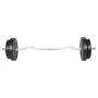 Barra de Curl 30Kg de vidaXL, Peso libre - Ref: Foro24-90373, Precio: 77,19 €, Descuento: %
