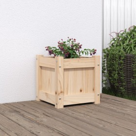 Jardinera madera maciza de pino 31x31x31 cm en Macetas y jardineras | Comprar online en Foru.es