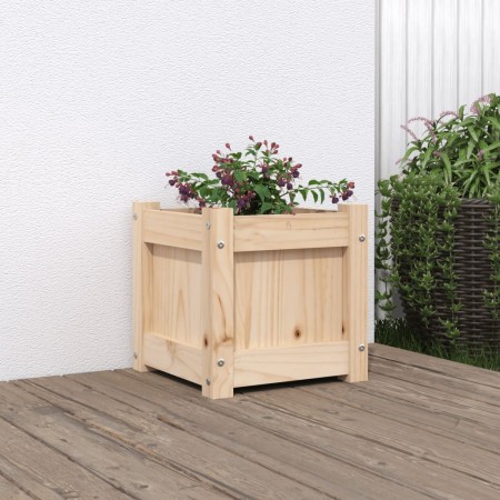 Jardinera madera maciza de pino 31x31x31 cm en Macetas y jardineras | Comprar online en Foru.es