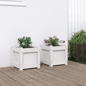 Jardineras de exterior 2 unidades madera maciza de pino blanco en Macetas y jardineras | Comprar online en Foru.es