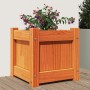 Jardinera exterior madera maciza pino marrón cera 31x31x31 cm en Macetas y jardineras | Comprar online en Foru.es