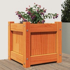 Jardinera exterior madera maciza pino marrón cera 31x31x31 cm en Macetas y jardineras | Comprar online en Foru.es