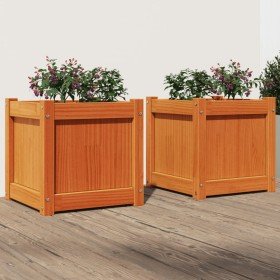 Jardineras de exterior 2 uds madera maciza de pino marrón cera en Macetas y jardineras | Comprar online en Foru.es