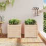 Jardineras de exterior 2 unidades madera maciza de pino en Macetas y jardineras | Comprar online en Foru.es