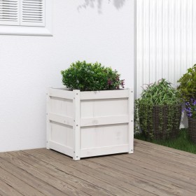 Jardinera madera maciza de pino blanco 50x50x50 cm en Macetas y jardineras | Comprar online en Foru.es