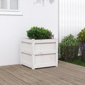 Jardinera madera maciza de pino blanco 50x50x50 cm en Macetas y jardineras | Comprar online en Foru.es