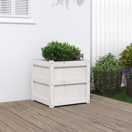Jardinera madera maciza de pino blanco 50x50x50 cm en Macetas y jardineras | Comprar online en Foru.es