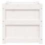 Jardinera madera maciza de pino blanco 50x50x50 cm en Macetas y jardineras | Comprar online en Foru.es